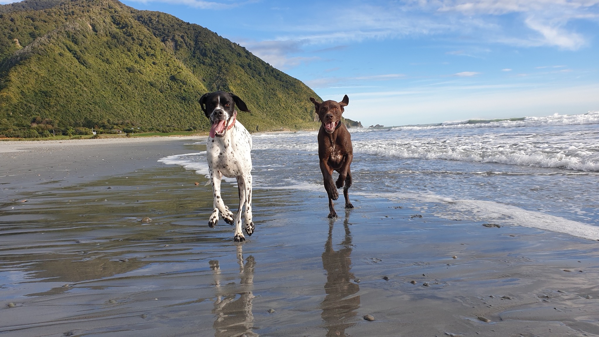 Ansel and Emma enjoying a run on nine mile beach Breakers Boutique Accommodation West Coast