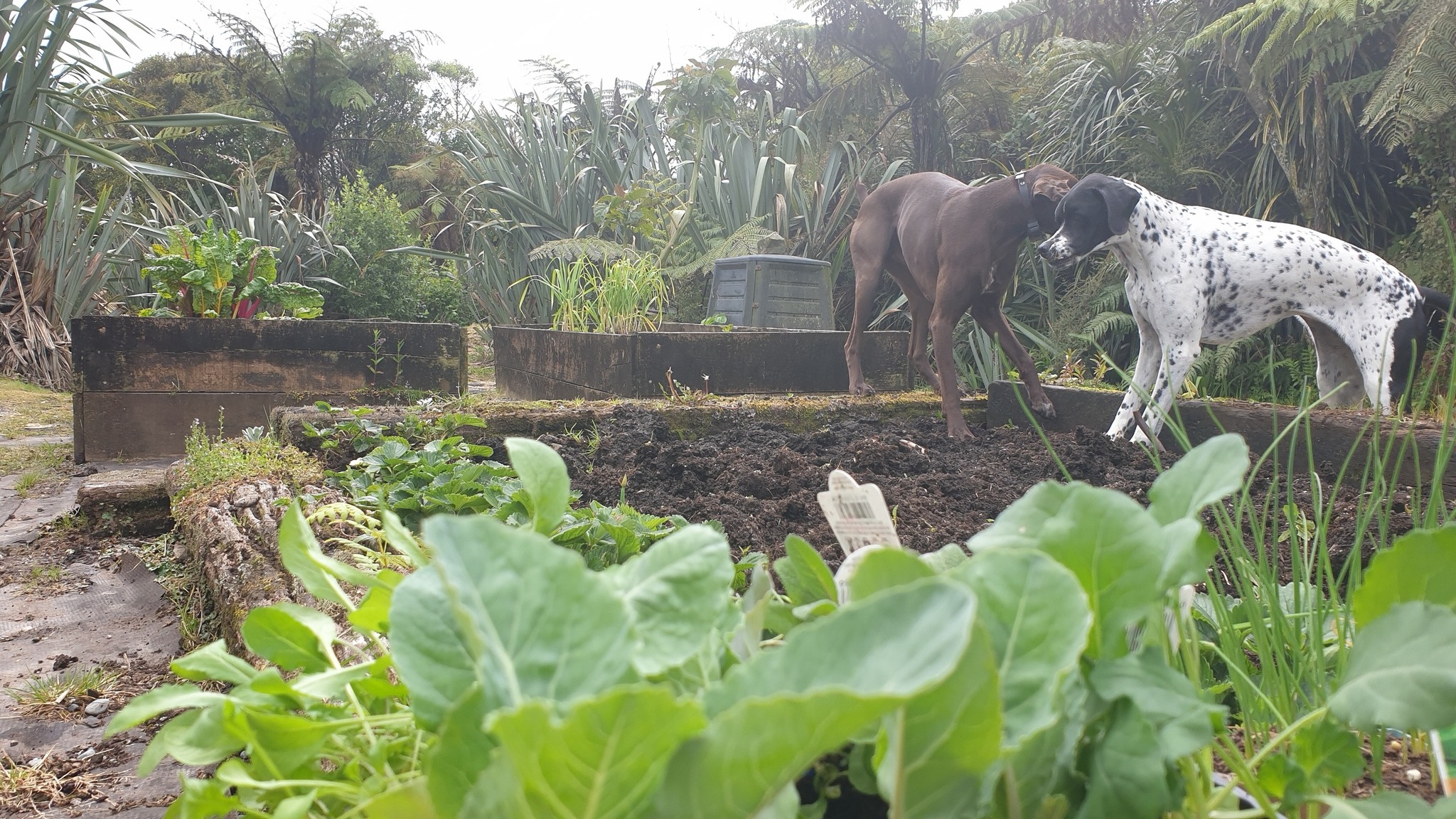 Ansel and Emma in the gardens Breakers Boutique Accommodation West Coast
